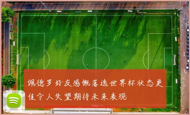 佩德罗好友感慨落选世界杯状态更佳令人失望期待未来表现